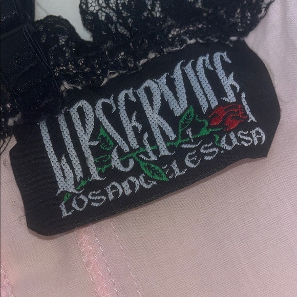 Vintage Lip Service Rosary’s Garden Blush and Black Lace Corset - Picture 5 of 6